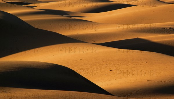 Gran Canaria, dunes, dunes, Maspalomas, sand dunes, sea, Gran Canaria, Canary Islands, Spain