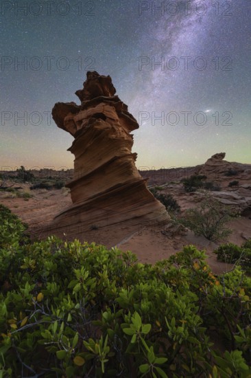 A stunning rock formation stands tall against a backdrop of a starry night sky in Coyote Buttes, Arizona. The foreground features lush green plants, adding contrast to the desert landscape