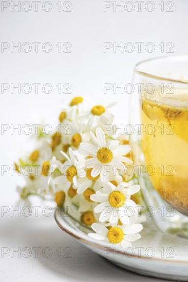 Delicate daisies rest beside a warm chamomile tea cup on a smooth ceramic plate. Set against a light interior, this scene evokes tranquility and the essence of summer