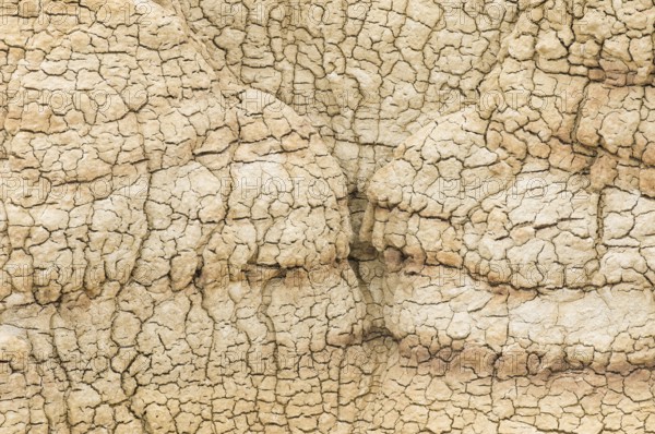 A close-up view of intricate patterns in dried clay, showcasing natural textures and irregular cracks found in Theodore Roosevelt National Park, North Dakota, USA