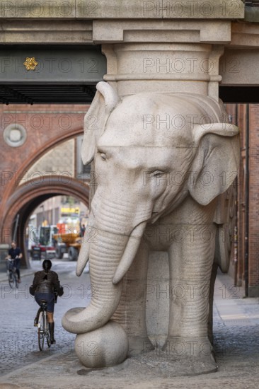 Bicyclist, monumental stone elephant, Elephant Gate or Elephant Portal or Elefantporten, by architect Vilhelm Dahlerup, Carlsberg district, Copenhagen, Denmark