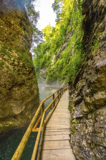 Scenic view of a wooden walkway over a stunning emerald river flowing through the picturesque vintgar gorge near bled, slovenia
