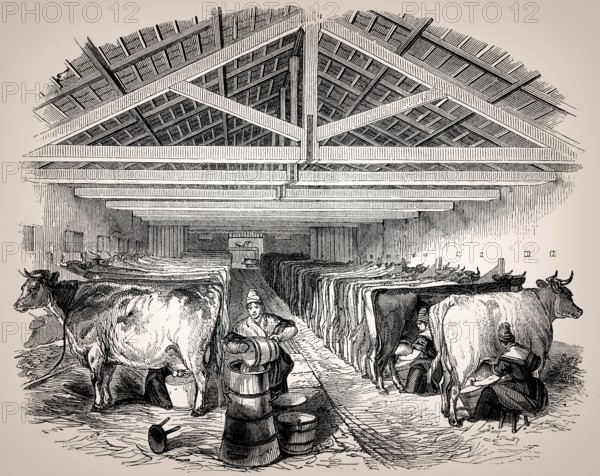 Old English cowshed, 19th century