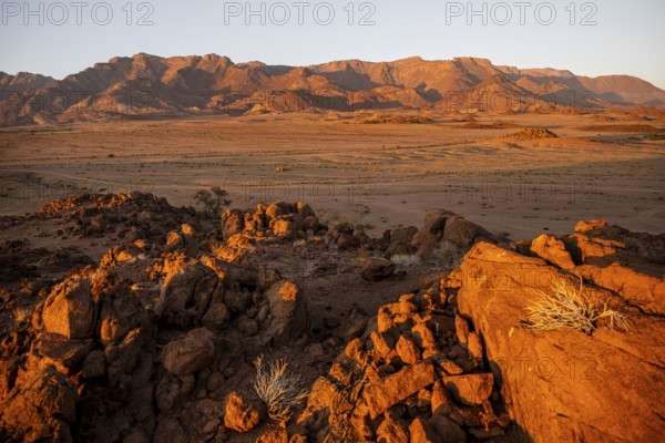Desert landscape with Brandberg in morning light, at sunrise, Erongo, Damaraland, Namibia