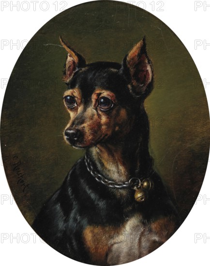 Carl Reichert, Karl Reichert, pseudonym J. Hartung (born 27 August 1836 in Vienna, died 5 April 1918 in Graz) . Austrian painter, especially landscape painter and animal painter. Here his work:, Pinscher in Collar with Bells, Pinscher wearing a collar with small bells, Painting, Reproduction of the painting, Work of art, Historical