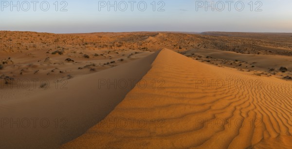 Sand dunes in the Wahiba Sands desert, Oman