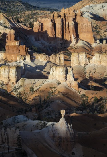 Majestic hoodoos rise dramatically within Bryce Canyon National Park, showcasing their unique shapes and striking colors under the warm, golden sunlight of the early morning