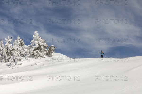 Side view of an unrecognizable person snowboarding down a pristine snowy hill, with snow-covered trees and a bright blue sky in the background