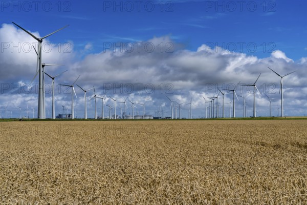 Wind farms Westereems and Growind, in the north of the Netherlands, near Eemshaven, energy centre, in addition to wind energy there are coal and gas-fired power plants and various energy infrastructure facilities, Netherlands