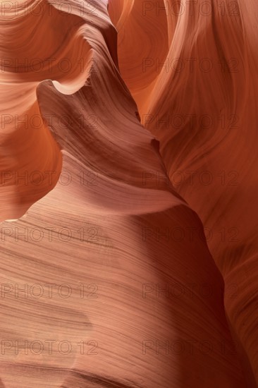 Fascinating sandstone formations in Antelpoe Canyon, showing soft, wave-like structures, Antelope Canyon, Arizona, USA