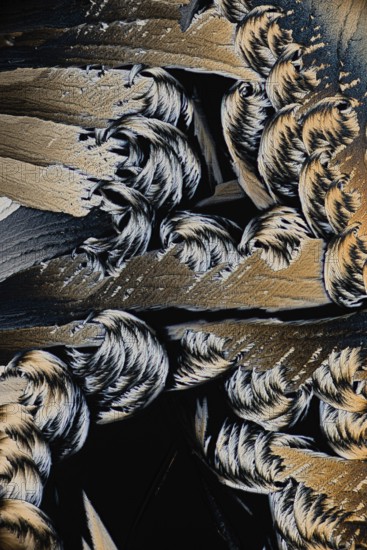 A stunning close-up image showcasing the intricate details of Salicylic acid microcrystals, captured under a microscope in black and white