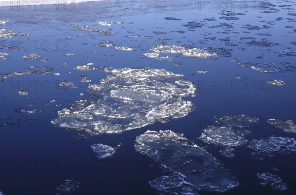 Elbe with ice floes, winter, Dresden, Saxony, Germany