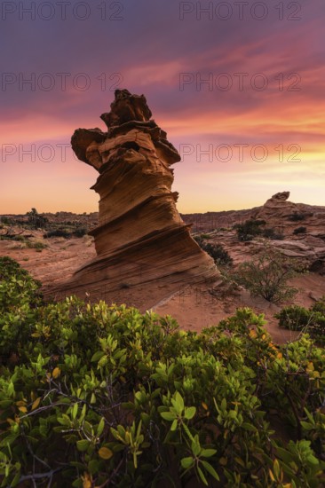 Majestic rock formation stands against a vibrant sunset sky in Coyote Buttes, part of the Paria Canyon-Vermilion Cliffs Wilderness, in Arizona, USA