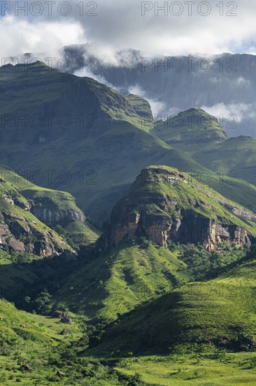 Drakensberg Mountains and Cliffs with Fog, Amphitheatre, Drakensberg National Park, KwaZulu Natal, South Africa