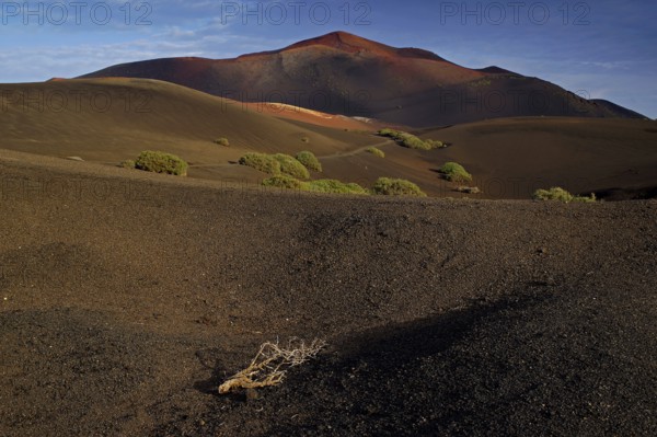 Canary Islands, Lanzarote, Timanfaya National Park, Dunes, Lanzarote, Canary Islands, Spain
