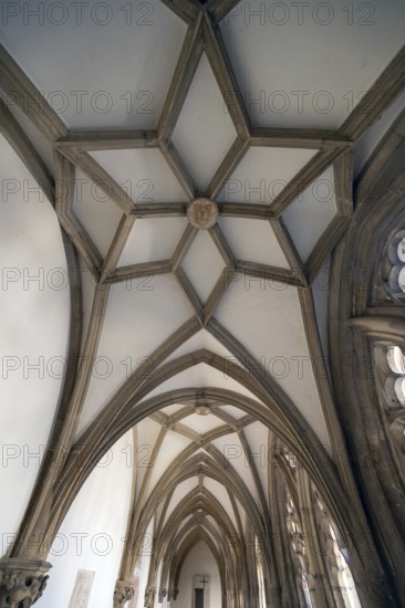 Vaults of the late Gothic cloister, Eichstätt Cathedral, Upper Bavaria, Germany