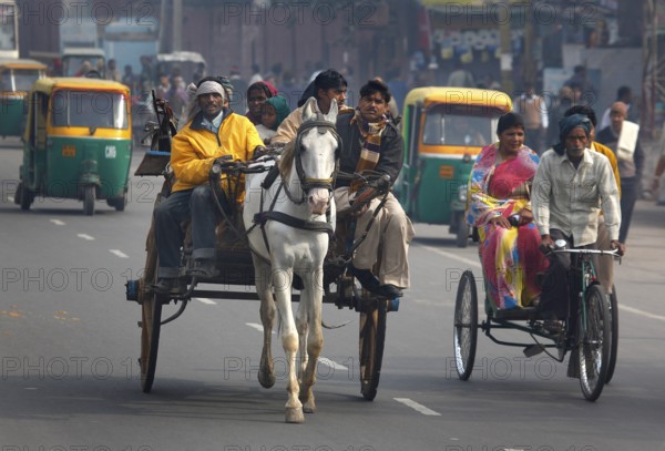 New Delhi, India, 15.01.10 - Horse-drawn carts, rickshaws and tuk tuk taxis on a street in New Delhi, India