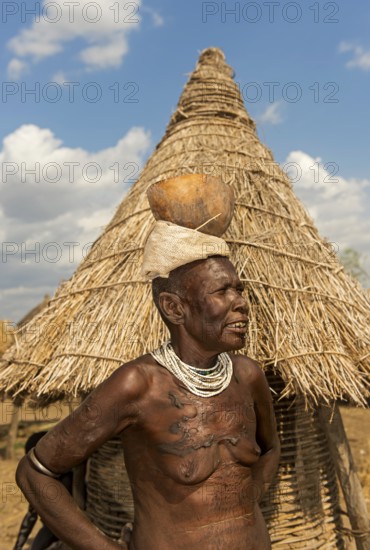 Woman with scar tattoo on her upper body carrying a calabash drinking bowl on her head, ethnic group of the Nyangatom, also called Bume, Southern Omo Valley, Ethiopia