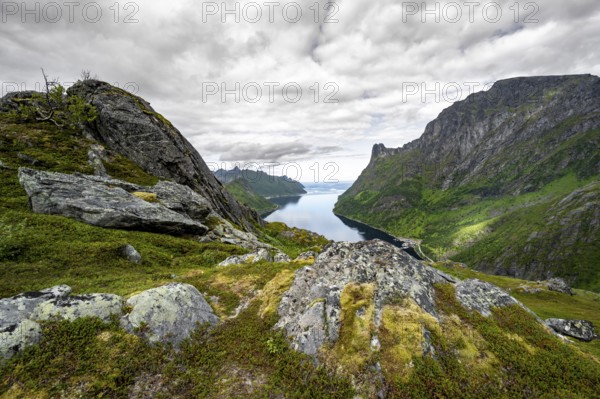 View of Øyfjorden fjord and mountains, fjord landscape with mountain peaks, hike to Barden mountain, Senja, Norway