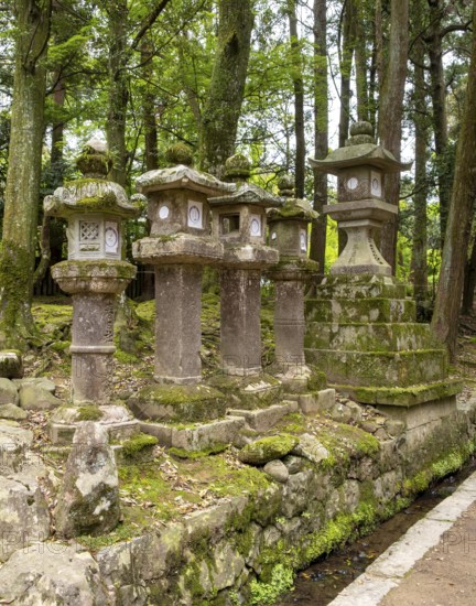 Stone lanterns, Kasuga-taisha shrine, Nara, Japan