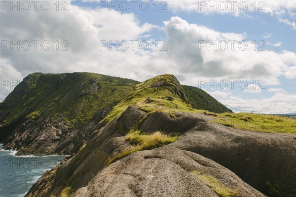 Panoramic view of the rugged cliffs and ocean at Signal Hill, Middle Cove, Newfoundland & Labrador, Canada. The lush greenery and dramatic coastlines under a partly cloudy sky offer a natural escape