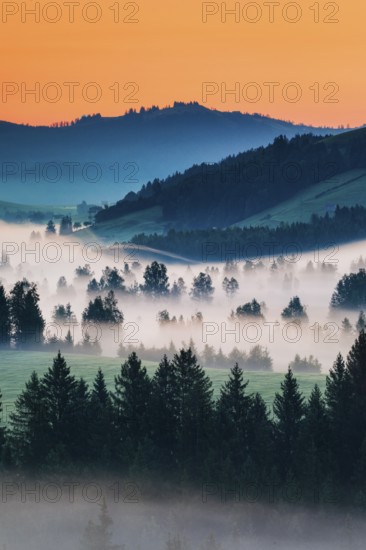 View from the Raten Pass over the fog-covered high moor of Rothenthurm in the canton of Schwyz, Switzerland