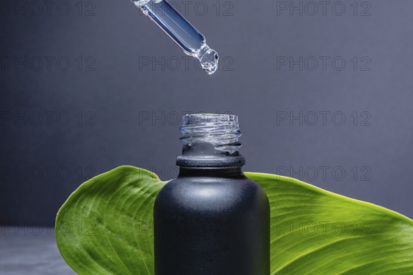 A dropper releasing a clear serum into a matte black bottle, set against a solid grey background with a large green leaf partially enveloping the bottle