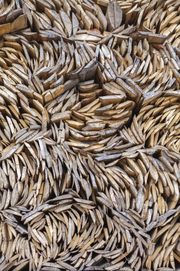 Pile of beech wood, Germany
