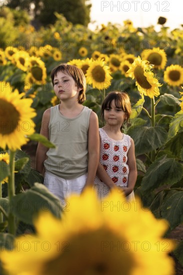 Two children stand among tall sunflowers in a field, enjoying the warm sunlight. The vibrant yellow flowers surround them, creating a cheerful summer atmosphere