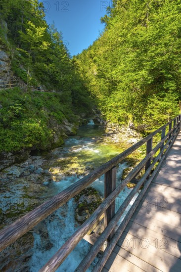 Scenic view of a wooden footbridge over the turquoise radovna river, flowing through the lush vintgar gorge near bled, slovenia, in summer