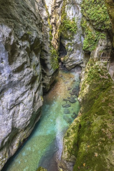 Breathtaking view of tolmin gorges, a stunning natural wonder with turquoise water flowing between narrow cliffs, located in triglav national park, slovenia