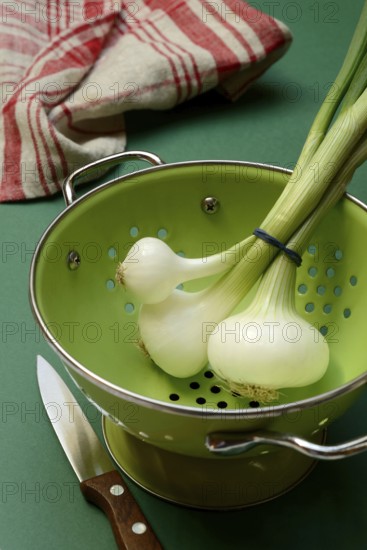 Onion, spring onions in sieve pot