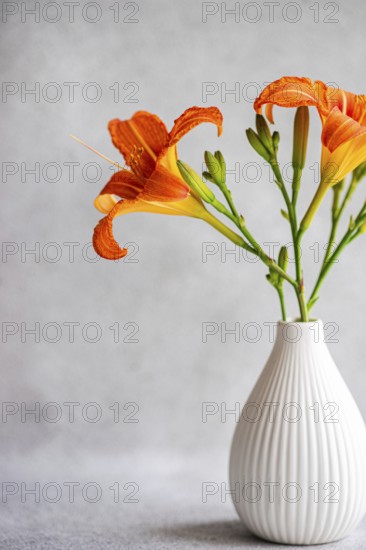 A vibrant display of tiger lily flowers arranged in an elegant white vase. The bright orange petals contrast beautifully against the soft, muted background, creating a serene atmosphere