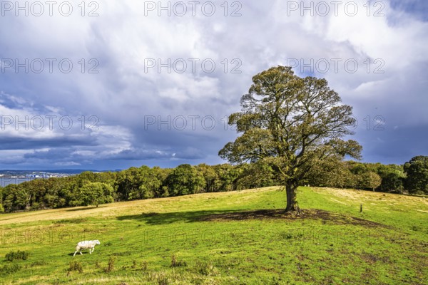 Farms over House of the Binns, Linlithgow, Scotland, UK