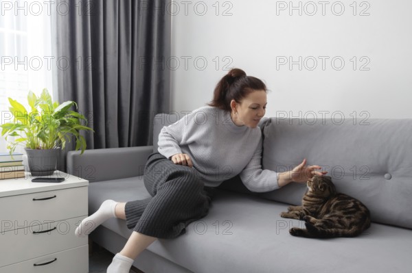 Woman gently pets her cat on a gray sofa in a cozy living room. A potted plant and books add to the serene atmosphere, with soft natural light from a window