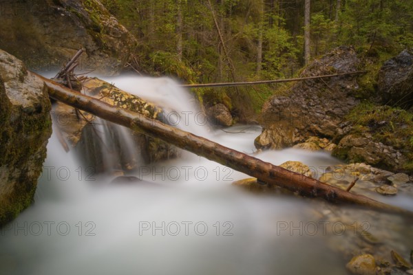 A tree trunk lies across a waterfall, long exposure, Dolomites, Puez-Geisler nature park Park, St. Magdalena, Villnöß, Funes, Villnößtal, South Tyrol, Italy