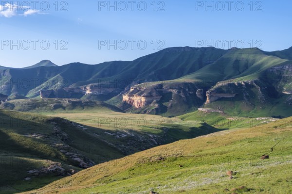 Grassland with sandstone cliffs and cliffs, landscape in Golden Gate Highlands National Park, Free State, South Africa
