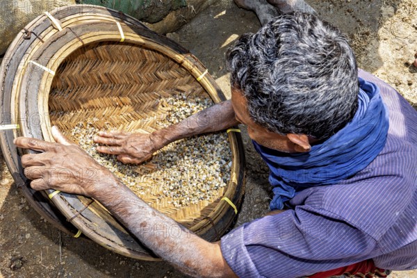 Person uses his hands to inspect the stones in a basket to sort them, the sapphire and gemstone mines at Ratnapura in Sri Lanka