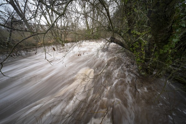 From above, this image captures the violent rush of the flooded river Henares as it surges through the lush landscape in Guadalajara, Spain, showcasing nature's power and unpredictability
