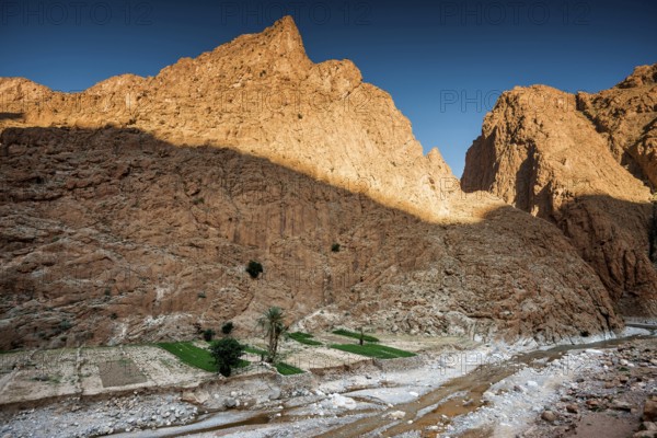 Todra Gorge, Tinghir, Drâa-Tafilalet Region, Atlas Mountains, Morocco
