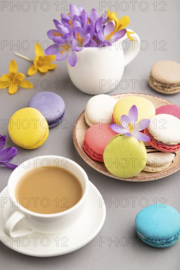 Multicolored macaroons with spring snowdrop crocus flowers and cup of coffee on gray pastel background. side view, close up, still life. Breakfast, morning, spring concept