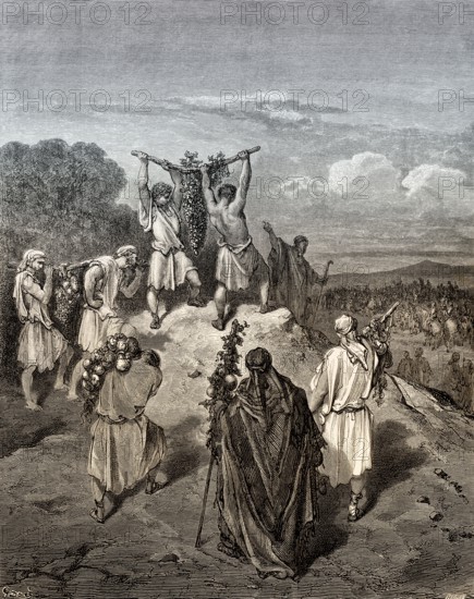 Return of the Spies from the Land of Promise, Old Testament, by Gustave Doré, 1863