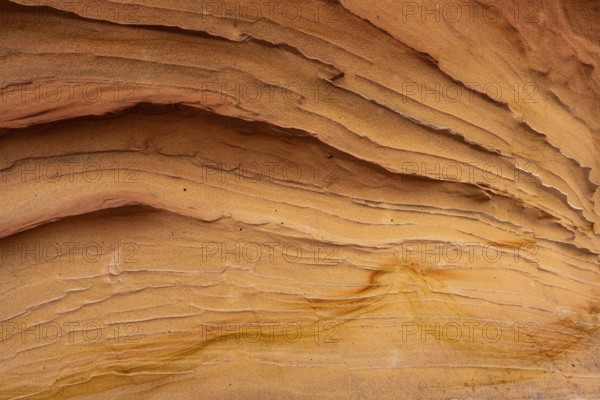 A detailed look at sandstone abstract textures, showcasing smooth, layered lines in warm tones. The natural patterns create a vivid and artistic background
