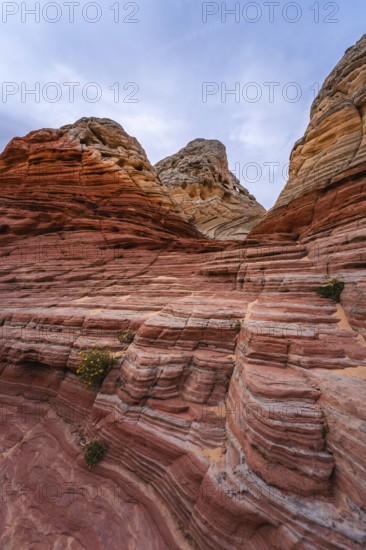 Striking view of the intricate, colorful rock layers at White Pocket, Arizona, showcasing nature's artistry in vivid red and beige
