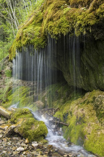 Moss-covered rocks and waterfall, Wutach Gorge, Bonndorf, Baden-Württemberg, Black Forest, Germany