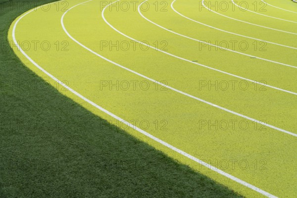 Overhead view of vibrant green lanes vividly marking the curves on an outdoor athletics stadium, capturing the precise lines and lush greenery beside the track