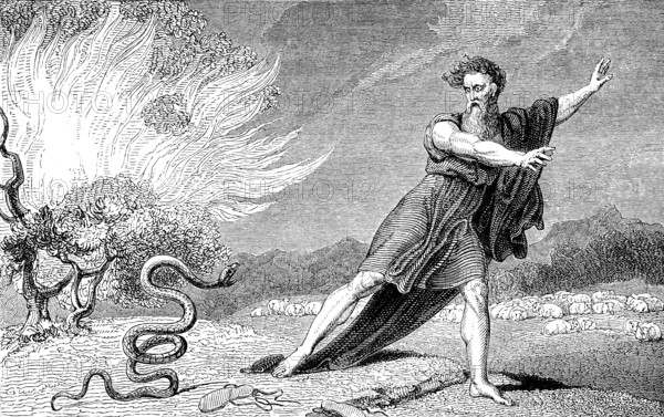 The rod becomes a serpent, Moses, Book of Exodus, Old Testament, Hebrew Tanakh