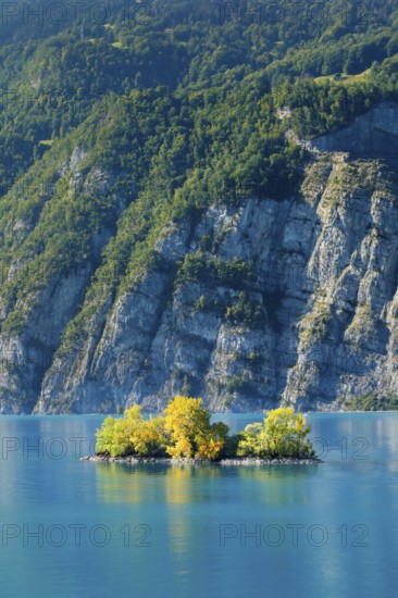 Small chive island in the turquoise waters of Lake Walen, Canton St. Gallen, Switzerland
