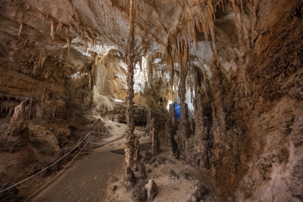 Stalactites and stalagmites, rock formations in a stalactite cave, Grotta del Fico, Gulf of Orosei, Baunei, Sardinia, Italy