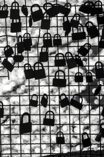Padlocks, so-called love locks on a fence, vantage point in Wesel am Rhein, North Rhine-Westphalia, Germany